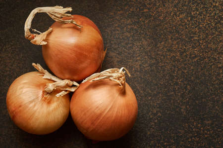 Three fresh bable onions on a dark background with copy space, macroの写真素材