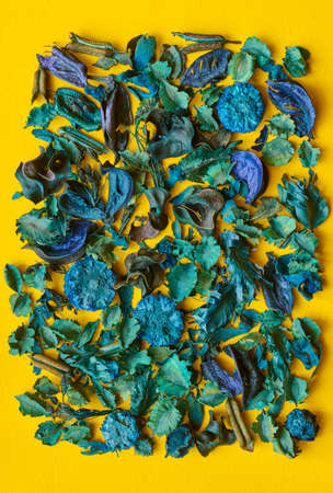 Composition with dried plants, flowers and leaves on a yellow background close-up, shallow depth of fieldの写真素材