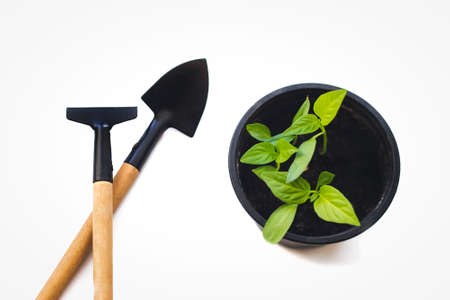 Miniature gardening tools: garden tool shovel, scoop, iron rake with wooden handles on a white...