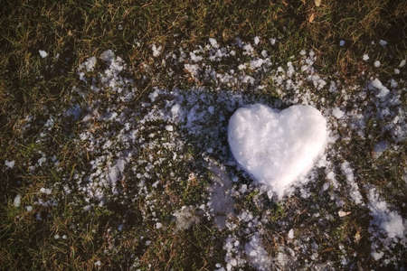 Snow heart on green grass, close-up, copy space. Season, design. Valentine's day.の写真素材
