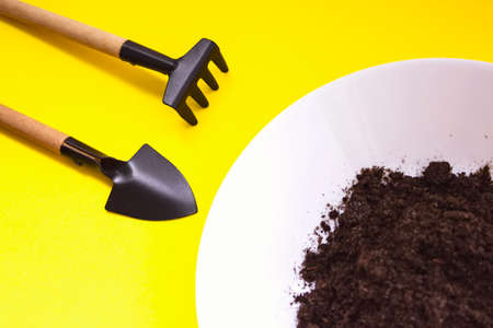 Miniature gardening tools, plate with ground on yellow background. Home gardening, growing step concept. Plant Germination And Growthの写真素材
