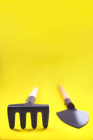 Gardening tools on yellow background. the concept of environmental stewardship and World Environment Day. Copy space, ecology concept. Close-Upの写真素材