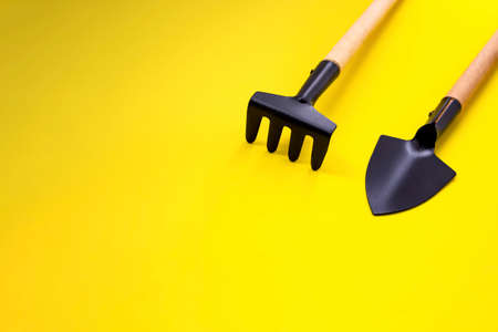 Spatula and rakes for transplantation of agriculture plant seeding. Miniature gardening tools on yellow background. Copy space. Top View Gardeningの写真素材
