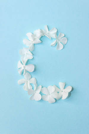 Flower Alphabet - C. Letter made from live flowers on light blue background
