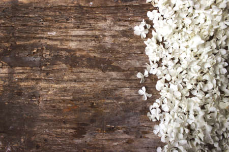 Spring flowers on wooden background. Natural wooden background with white flowers fruit treeの写真素材
