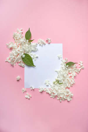White frame blank, petals for spa or wedding mockup on pink background top view. Beautiful floral pattern. Flat lay styleの写真素材