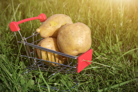 Mini shopping cart or trolley with potatoes against natural green background with sunlight. Healthy food for balanced flexitarian mediterranean diet conceptの写真素材