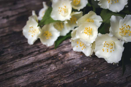 Spring flowers on wooden background. Card Concept, pastel colors, close up image, copy spaceの写真素材