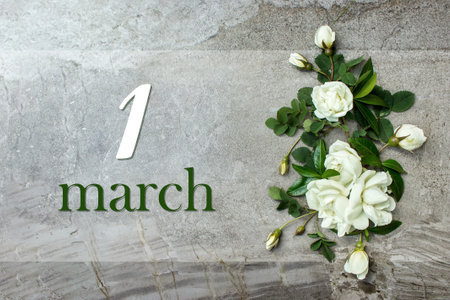 March 1st. Day 1 of month, Calendar date. Stylish roses flat lay. White roses border on pastel gray background with calendar date. Spring month, day of the year conceptの写真素材