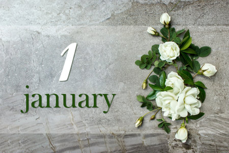 January 1st. Day 1 of month, Calendar date. Stylish roses flat lay. White roses border on pastel gray background with calendar date. Winter month, day of the year conceptの写真素材