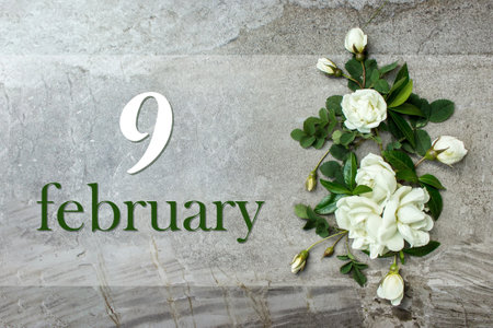 February 9th. Day 9 of month, Calendar date. Stylish roses flat lay. White roses border on pastel gray background with calendar date. Winter month, day of the year concept