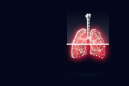 Lungs on dark background. Polygonal wireframe composition. Particles are connected in a geometric gologram silhouette on dark blue backgroundの写真素材
