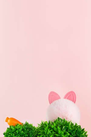 Green grass, rabbit ears and carrot on pink background. Springtime garden or meadow