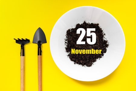 November 25th. Day 25 of month, Calendar date. White plate of soil with a small spatula and rake on yellow background. Autumn month, day of the year conceptの写真素材