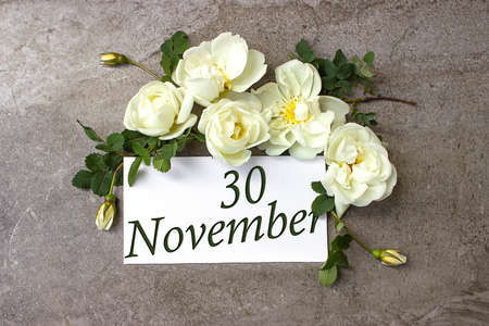 November 30th. Day 30 of month, Calendar date. White roses border on pastel gray background with calendar date. Autumn month, day of the year conceptの写真素材