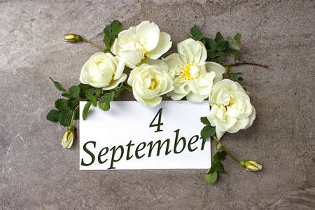 September 4th. Day 4 of month, Calendar date. White roses border on pastel gray background with calendar date. Autumn month, day of the year conceptの写真素材