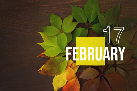 February 17th. Day 17 of month, Calendar date. Autumn leaves transition from green to red with calendar day on yellow square, wooden background. Winter month, day of the year conceptの写真素材