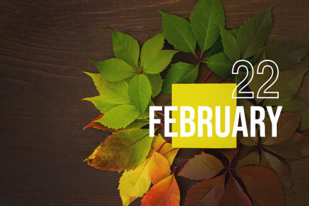 February 22nd. Day 22 of month, Calendar date. Autumn leaves transition from green to red with calendar day on yellow square, wooden background. Winter month, day of the year conceptの写真素材