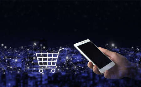 Online shopping, online store application in a smartphone. Hand hold white smartphone with digital...