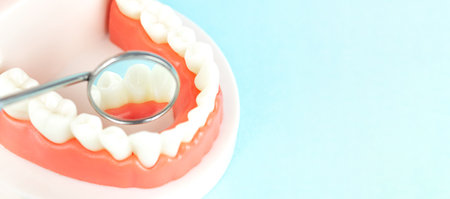 Prosthetic dentistry. advertising. Removable dental. Dentist appointment Regular checkups are essential to oral health. Orthodontic tools, brace, bracket system, toothの写真素材