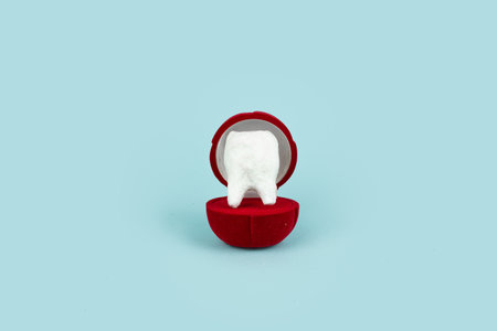 Tooth model in red box on blue background. dental concept.
