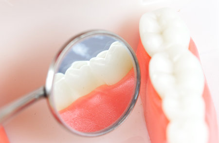 False teeth, jaws. Dentistry instruments and dental hygienist checkup concept Dental Model. Close up tooth model mock tooth on blue background, close upの写真素材