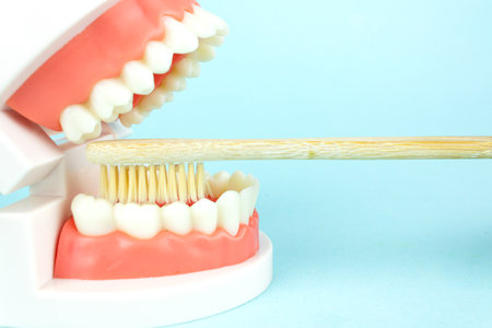 Dentistry conceptual photo. Prosthetic dentistry and wooden toothbrush. False teeth. Mock tooth or...