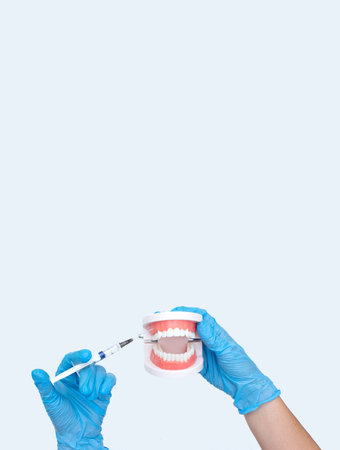 Doctor hands holding big Dental Teeth Model dentures and medical syringe on gray background. Healthy care teeth concept. Top view, flat lay. Copy space for your text.の写真素材