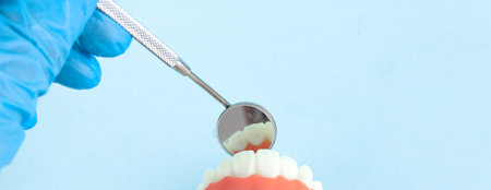 Dental Teeth Model dentures with dentist mouth mirror and doctor hand in blue medical gloves on blue...