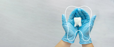 Female dentist hand in blue medical gloves holds tooth molar and Thin linear outline icon. Tooth symbol sign.の写真素材