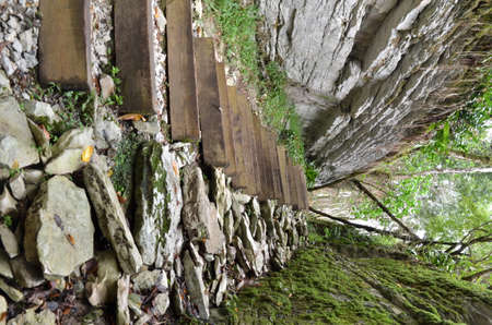 Stairs to the Tiso samshit groves. Sochi, Russia