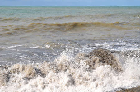 View of the beach in the Sochi, Russia