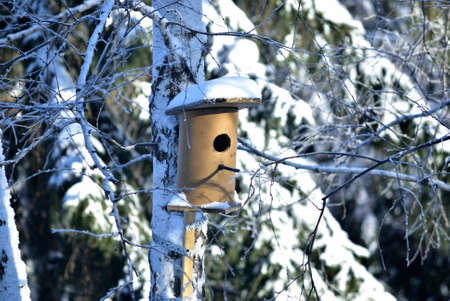 Nesting box in winter Siberian city park, Omsk Russia
