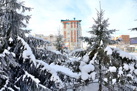 Winter Siberian city park, Omsk region の写真素材