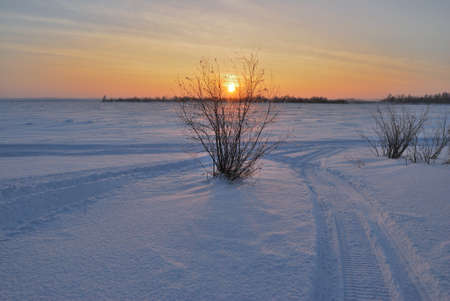 Evening on the Irtysh River, Omsk region, Siberia, Russiaの写真素材