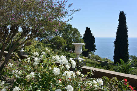 Beautiful places in the park Vorontsov Palace in the vicinity of Yalta, Crimeaのeditorial素材