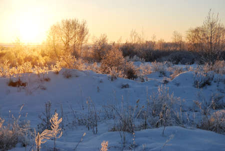 Evening on the Irtysh River, Omsk region, Siberia, Russiaの写真素材