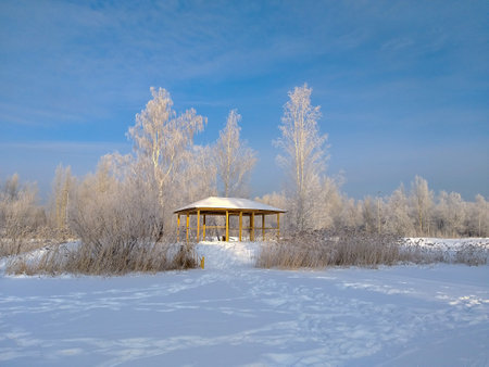 View of the winter park of the Omsk city.の写真素材