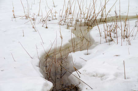 Morning on the Irtysh River, Omsk region, Siberia, Russiaの写真素材