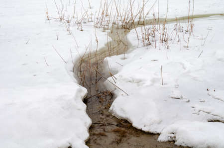 Morning on the Irtysh River, Omsk region, Siberia, Russiaの写真素材