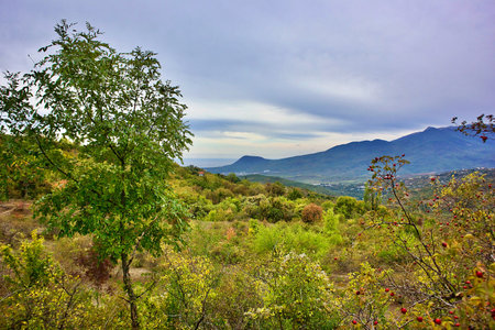 View from the foot of the South Demerdzhi Mountain to the surroundings of the city of Alushta Crimea.の写真素材