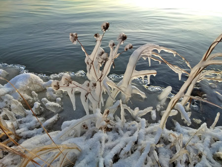 Autumn icing of the Irtysh riverの写真素材