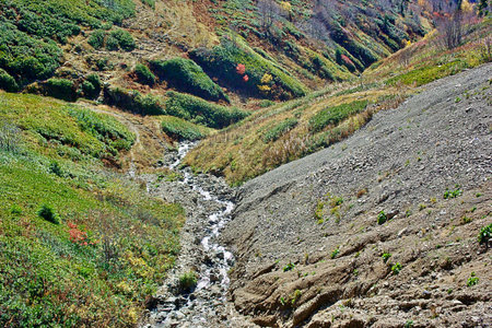 View of the southern slope of Mount Rose Peakの写真素材