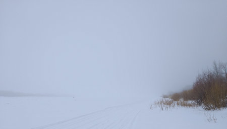 Foggy winter landscape with snow covered trees and road in the foregroundの写真素材