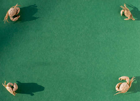 Green background with Crabs in the corners. top view. Ready-made Template for your Design.の写真素材