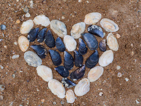 Close-up of the symbol of love-a heart laid out with colorful shells on the sand. top viewの写真素材