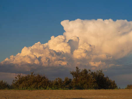 Huge fluffy white clouds in the blue sky over the edge of the beach.の写真素材