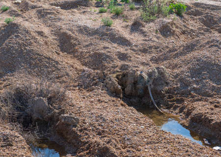 Puddles of water on the sand. The concept of drinking water shortage. Two small puddles on the sea...