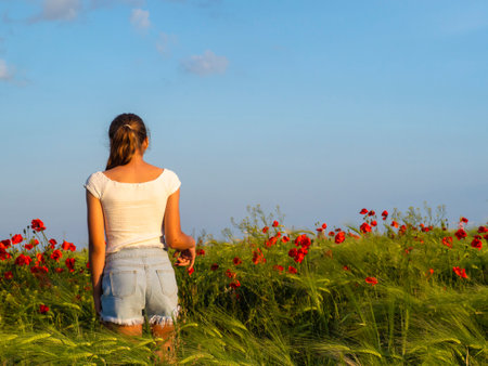 The girl admires nature with the beauty of wild poppies. Rear view of a teenage girl standing in a wheat field with red poppies under a blue sky in the sunset light. a girl walks through a poppy field.の写真素材