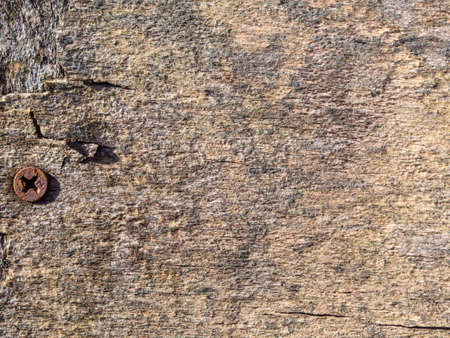 Old wooden texture background, Retro background. Gray-brown rough wooden surface with a screwed-in rusty self-tapping screw for the backgroundの写真素材